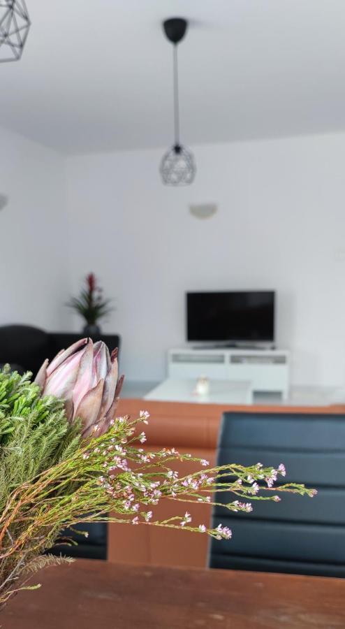 Ellas Modern Duplex City Center Nicosia Exteriör bild